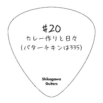 #20 カレー作りと日々(バターチキンは335)