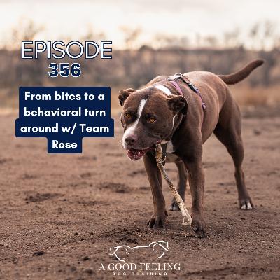 356. From Bites to a Behavioral Turn Around w/Team Rose 356. From Bites to a Behavioral Turn Around w/Team Rose
