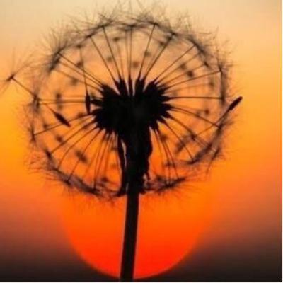 Áudio para Jejum Consciente e programado