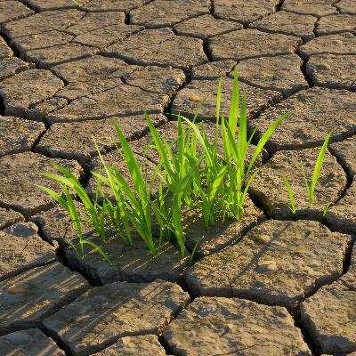 S8 Ep55: Overcoming climate agenda fatigue S8 Ep55: Overcoming climate agenda fatigue