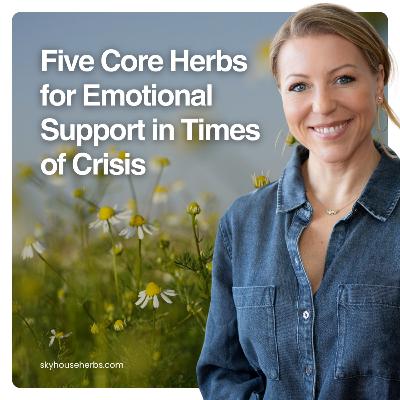 Five Core Herbs for Emotional Support in Times of Crisis
