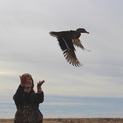 What Every Waterfowl Hunter Should Know About Sanctuary Disturbance