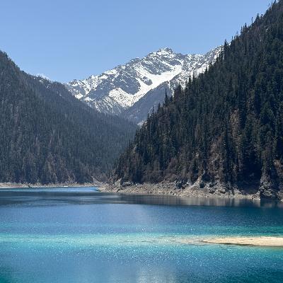 050 啊，我又活过来啦！