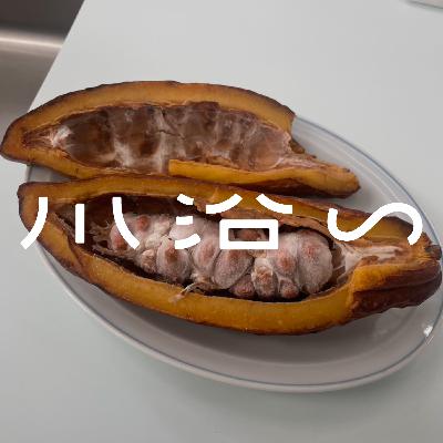 #013 秘密のカカオの産地 #013 秘密のカカオの産地