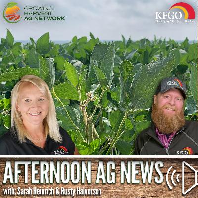 Afternoon Ag News, October 9, 2025: Finding new soybean markets remains a difficult task