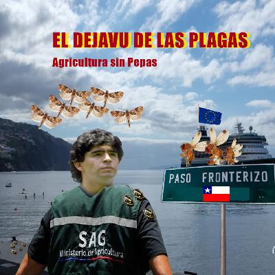 El Deja vu de las Plagas El Deja vu de las Plagas