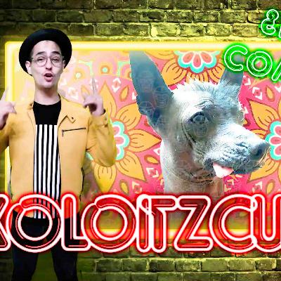 XOLOITZCUINTLE EL PERRO MEXA / #DISTRITOFOREVER con #PEPEFOREVER