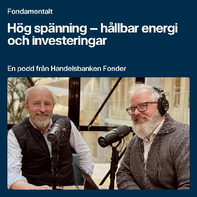 Hög spänning – hållbar energi och investeringar Hög spänning – hållbar energi och investeringar
