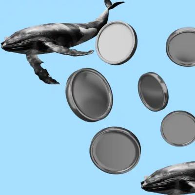 Crypto Market Analysis: Here’s How Whale Investors Are Impacting Your Portfolio! Crypto Market Analysis: Here’s How Whale Investors Are Impacting Your Portfolio!