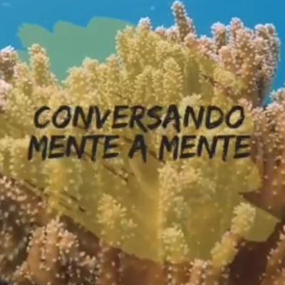 Movimientos sociales en México y el impacto en la salud mental