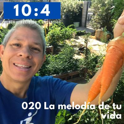 020 La melodía de tu vida 020 La melodía de tu vida