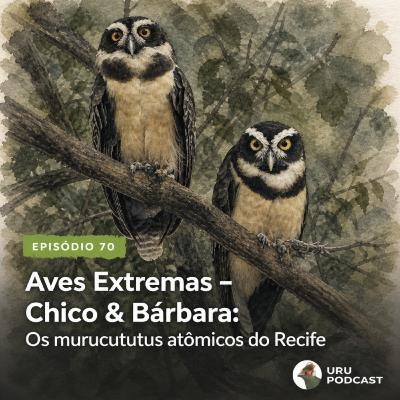 #70 - Aves Extremas - Os Murucututus Atômicos do Recife #70 - Aves Extremas - Os Murucututus Atômicos do Recife