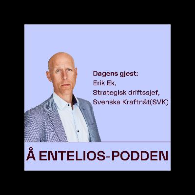 Svensk kraft-topp raser mot Norgespris: - Vanvittig!