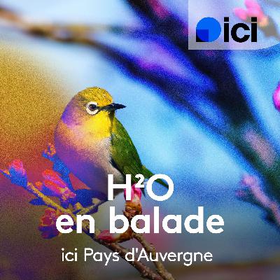 Au milieu coule une rivière. A la découverte de la Biodiversité de la Morge. Au milieu coule une rivière. A la découverte de la Biodiversité de la Morge.