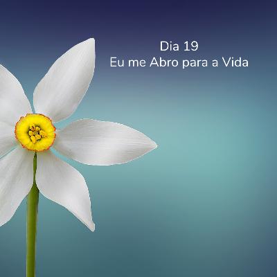 Dia 19 - Eu me Abro para a Vida