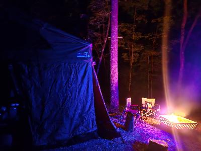 Magic Rabbits & Misty Dreams