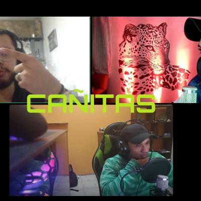 Cañitas