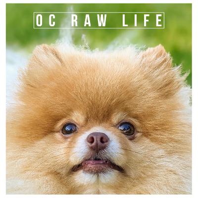 OC Raw Life OC Raw Life