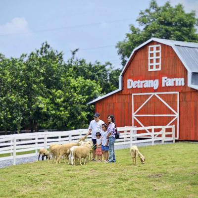Hà Nội - Những hành trình cảm xúc: Trải nghiệm nông trại tại Detrang Farm