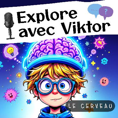 Le cerveau, le chef d’orchestre du corps humain (S.1 / Ep.2)