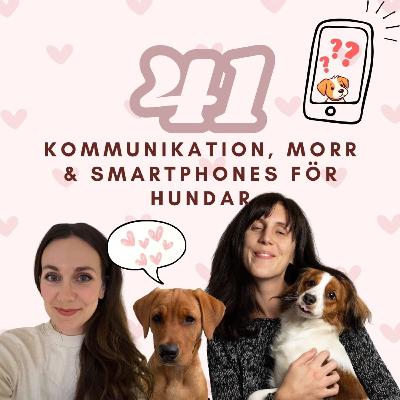 41. kOmMuNiKaTiON