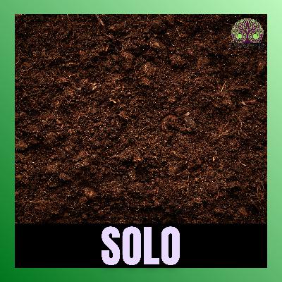 Ep.11 - "O Solo como Base"