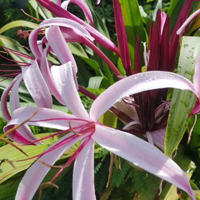 Coisas Que Aprendi - Ep. 7 - A Gente Nunca Sabe do Que o Outro Precisa