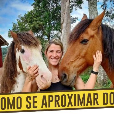 COMO SE APROXIMAR DO SEU CAVALO | Haras Stone #008