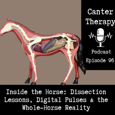 EPISODE 96. Inside the Horse: Dissection Lessons, Digital Pulses & the Whole-Horse Reality EPISODE 96. Inside the Horse: Dissection Lessons, Digital Pulses & the Whole-Horse Reality