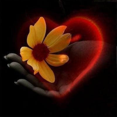 DESCANSER VERANO 2020. AUDIO 15.2 Cajita del Silencio 2. EE Abrazo Corazón Grande corazón chico.José María Toro