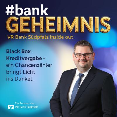 Black Box Kreditvergabe - Ein Chancenzähler bringt Licht ins Dunkel.
