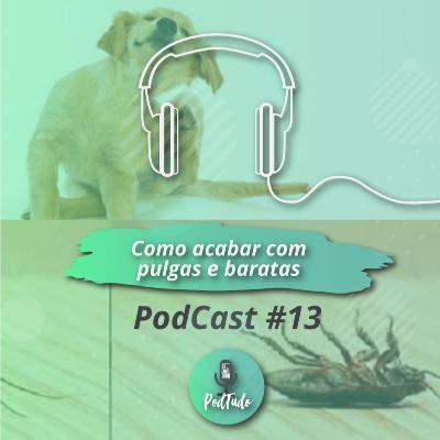 #13 Como eliminar pulgas e baratas da casa