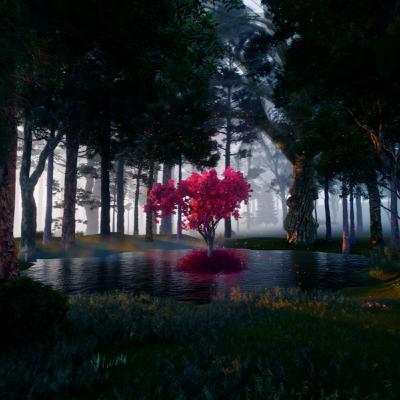 Enchanted Tree In The Woods