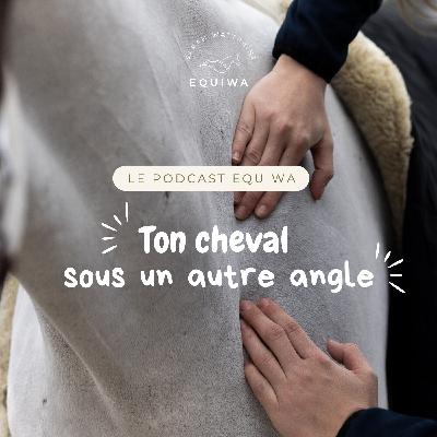 Épisode 2 - Mon cheval, ses pathologies, et tout ce qu’il m’a appris