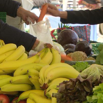 LAS DIETAS DE MODA - Entre lo Saludable y lo Extremo