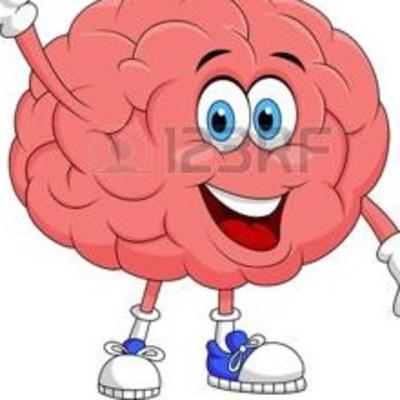 Los lobulos del cerebro