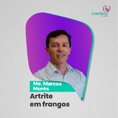 ARTRITE EM FRANGOS - Me. Marcos Morés | Ep. 174