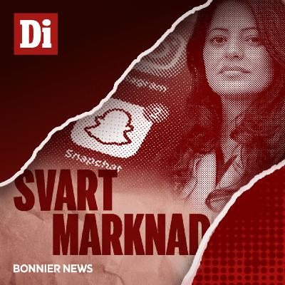 Techjättarnas plattformar  – en marknadsplats för mord