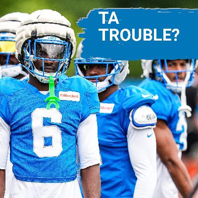 Could we see more of Amik and less of Terrion for the Detroit Lions?