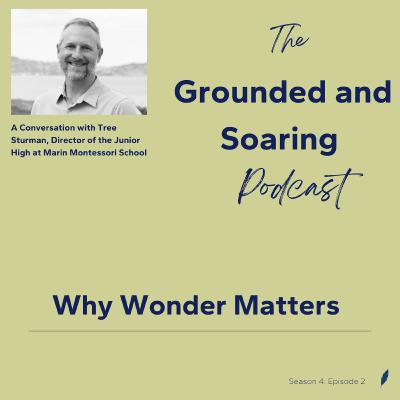 Why Wonder Matters Why Wonder Matters