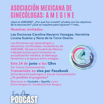 Asociación Mexicana de Ginecólogas: AMEGINE Asociación Mexicana de Ginecólogas: AMEGINE