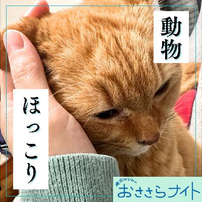 <OA>2025年12月13日放送 <OA>2025年12月13日放送