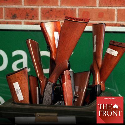 Albanese to destroy ‘hundreds of thousands’ of guns