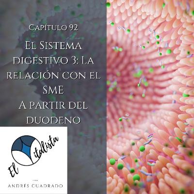 #92 Sistema Digestivo 3 las relaciones con el SME (Segunda parte)