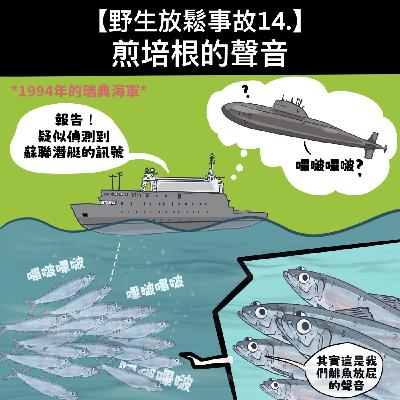 野生放鬆事故 14. 煎培根的聲音