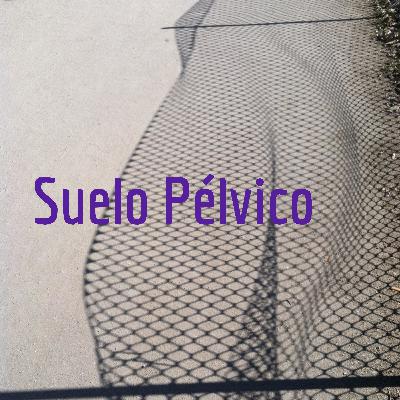 Episodio 2: Qué es el suelo pélvico - Parte 2