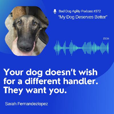 372: "My Dog Deserves Better"