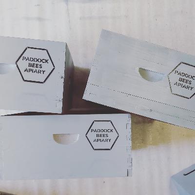 Episode 14: Apidae Honey