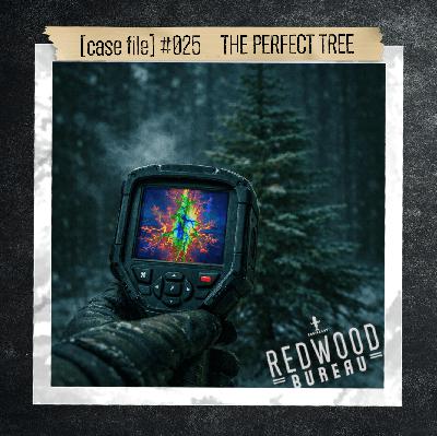 "THE PERFECT TREE" _ Case File #025 "THE PERFECT TREE" _ Case File #025