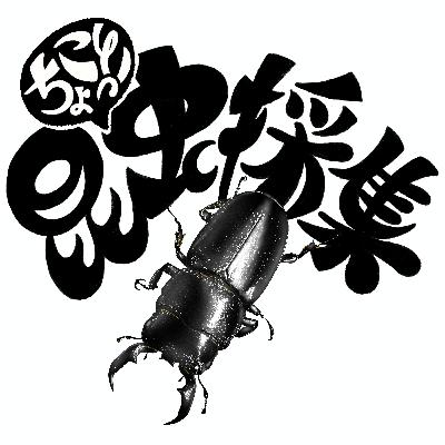 ヒラタクワガタのフェロモンにやられました